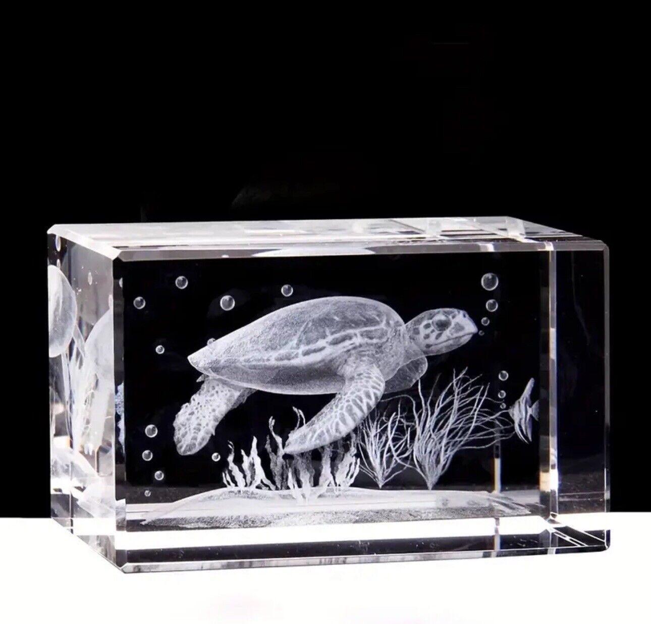 Crystal Laser Engraved Sea Turtle with Plants – Oceanic Art at the Sea Bottom.