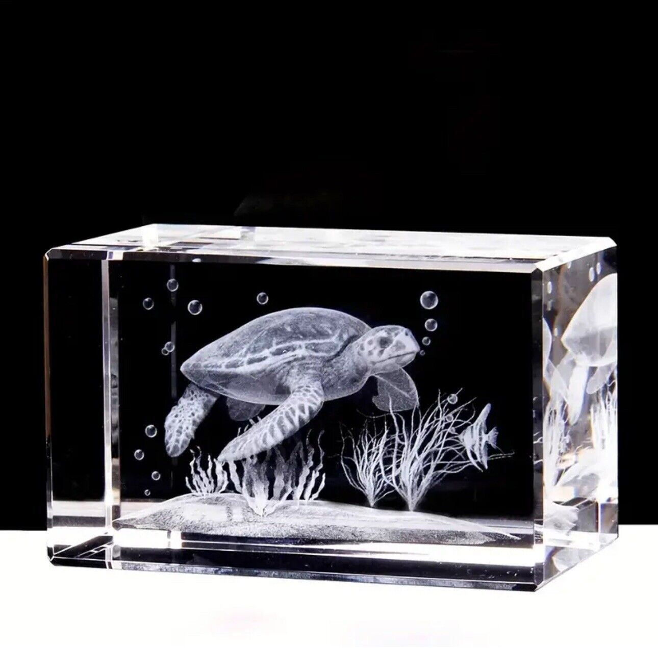 Crystal Laser Engraved Sea Turtle with Plants – Oceanic Art at the Sea Bottom.