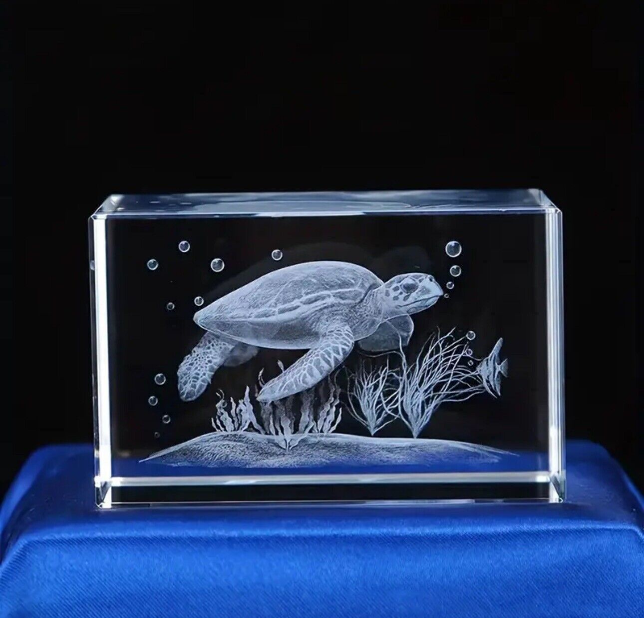 Crystal Laser Engraved Sea Turtle with Plants – Oceanic Art at the Sea Bottom.