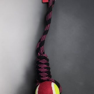 purple and black yellow and red tug a war dog toy